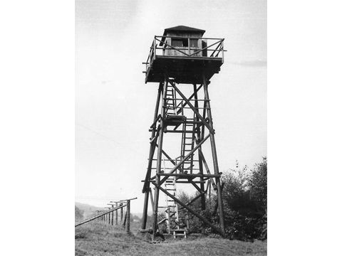 Foto 100